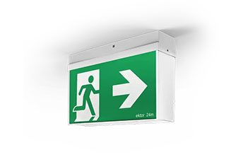 Professional Plumbers